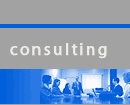 consulting